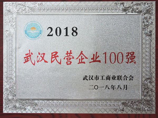 天馬建設(shè)集團(tuán)榮列“2018武漢民營企業(yè)100強”第50位