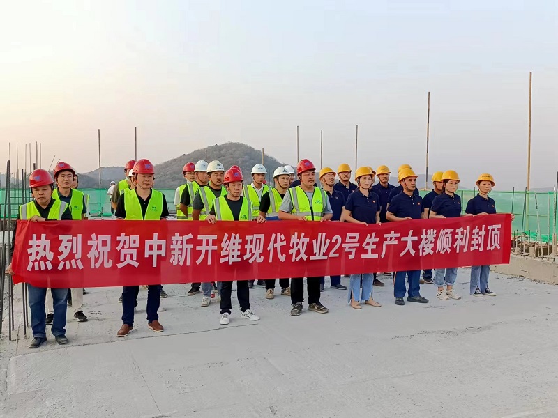 集團(tuán)承建中新開維樓房養(yǎng)豬示范基地二期項目成功封頂